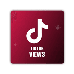 TIKTOK VIEW BUY